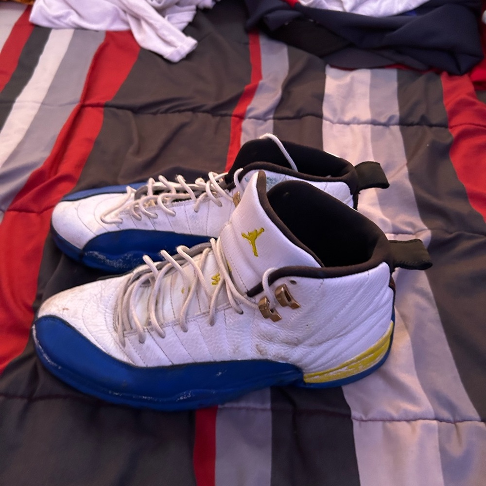 Custom jordan 12